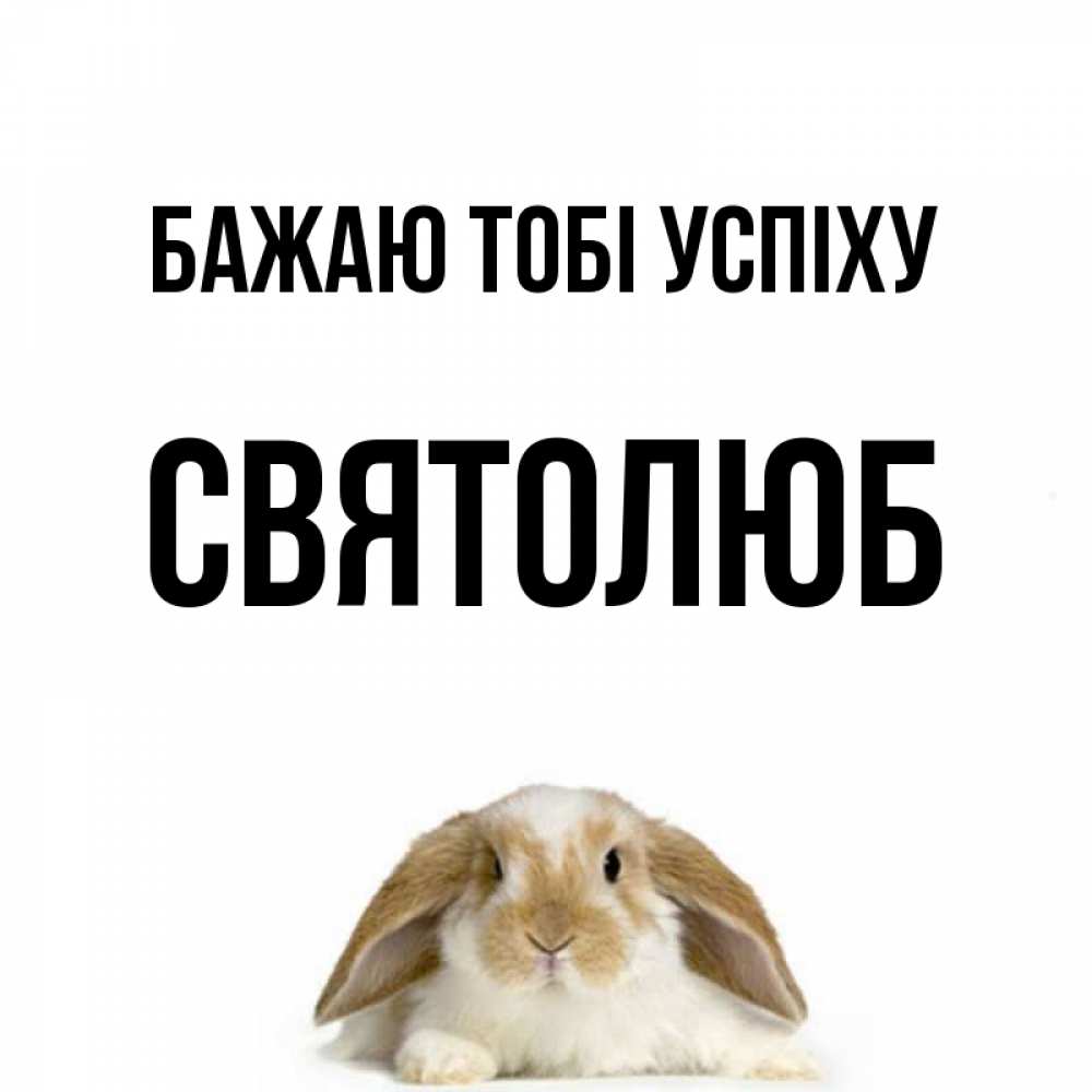 Открытка на каждый день з підписом, Святолюб Бажаю тобі успіху открытки с произвольным текстом который можно вставить в открытку и создать ее самостоятельно бесплатно онлайн Прикольна листівка з побажанням онлайн скачати безкоштовно 