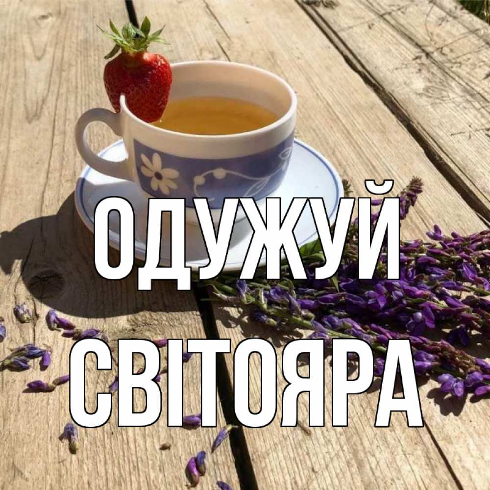 Открытка на каждый день з підписом, Світояра Одужуй чай Прикольна листівка з побажанням онлайн скачати безкоштовно 