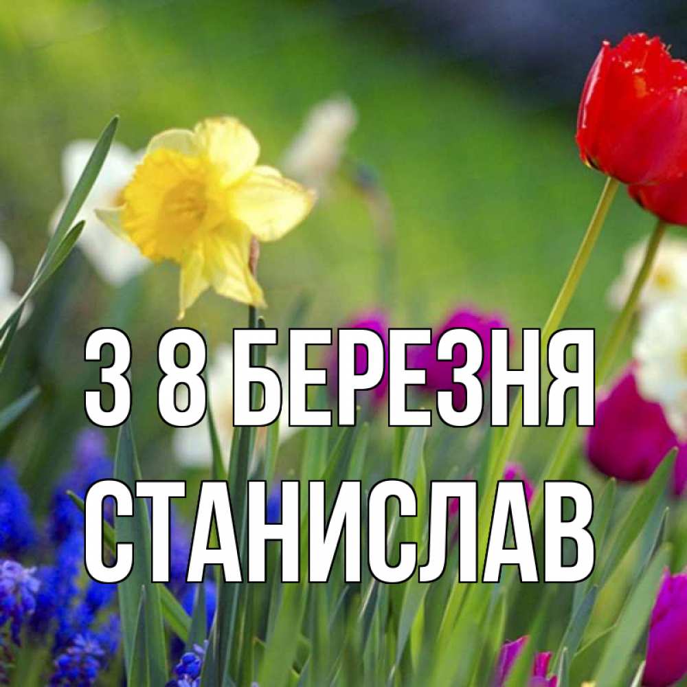 Открытка на каждый день з підписом, Станислав З 8 БЕРЕЗНЯ международный женский день 3 Прикольна листівка з побажанням онлайн скачати безкоштовно 