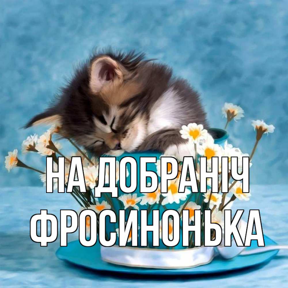 Открытка на каждый день з підписом, Фросинонька На добраніч котенок спит в кружке с блюдцем Прикольна листівка з побажанням онлайн скачати безкоштовно 