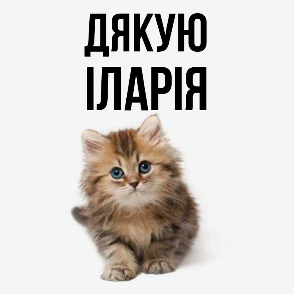 Открытка на каждый день з підписом, Іларія Дякую пушистый котик Прикольна листівка з побажанням онлайн скачати безкоштовно 