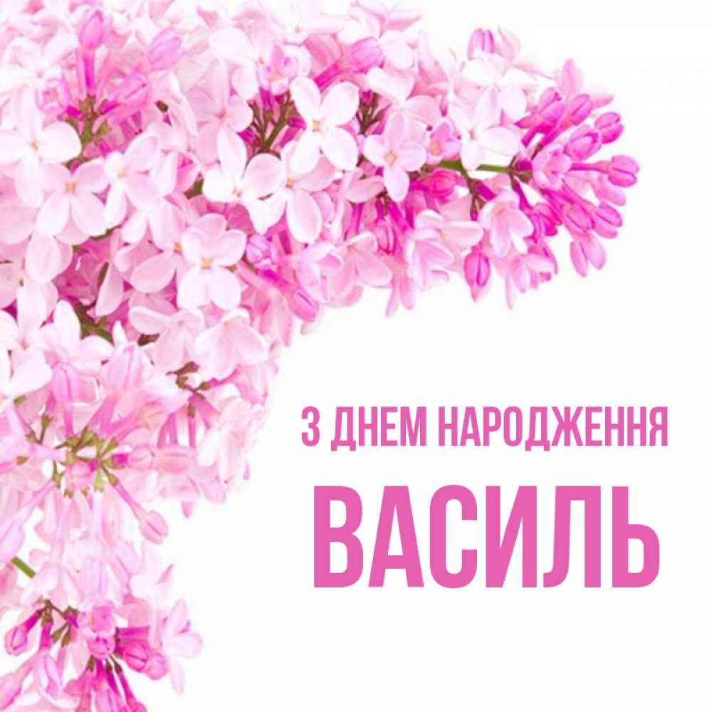 Открытка на каждый день з підписом, Василь З Днем народження Сирень на белом фоне Прикольна листівка з побажанням онлайн скачати безкоштовно 