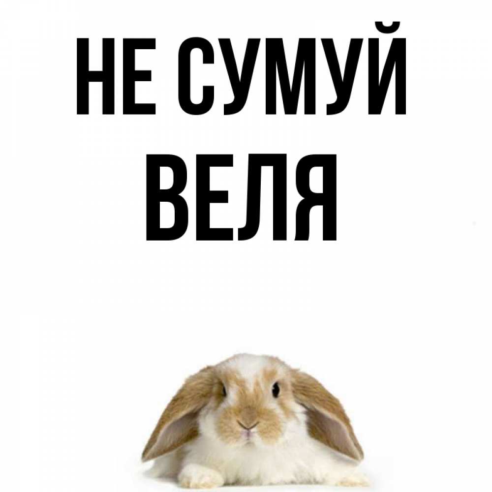Открытка на каждый день з підписом, Веля Не сумуй коричнево белый заяц с большими ушками Прикольна листівка з побажанням онлайн скачати безкоштовно 