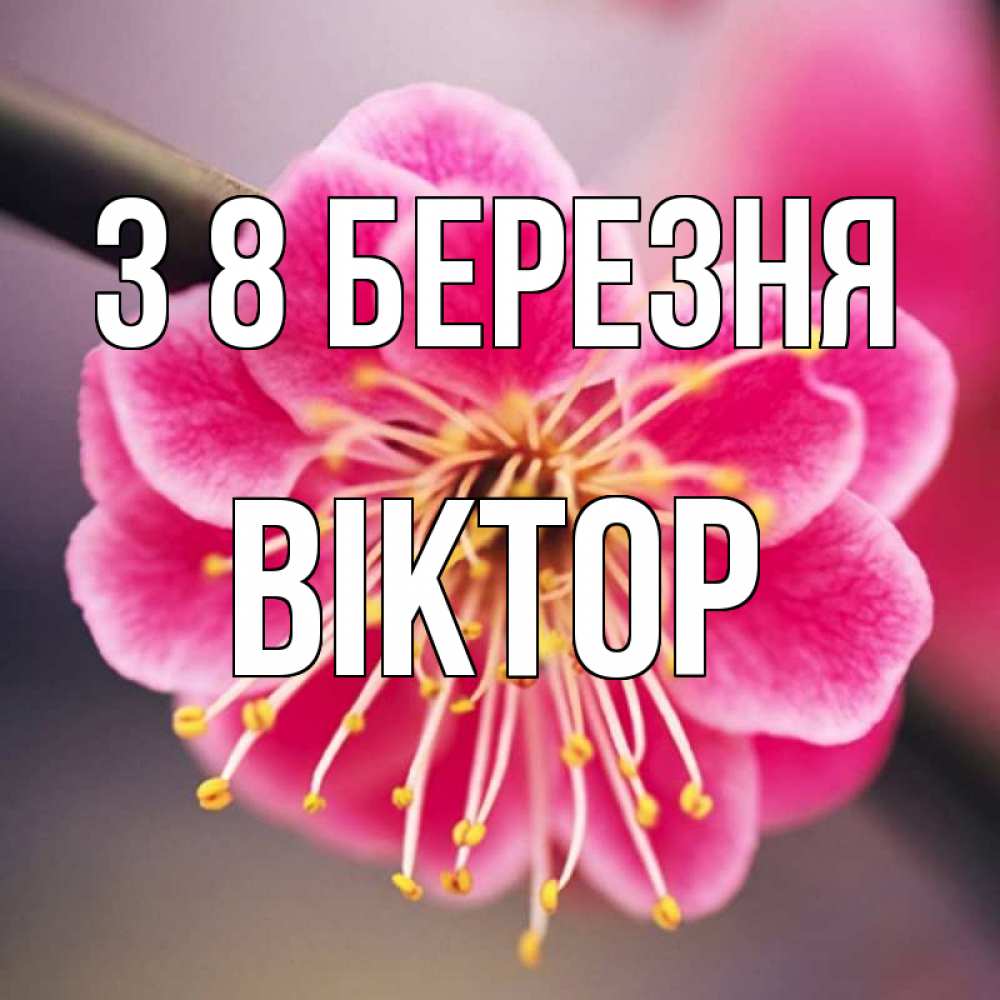 Открытка на каждый день з підписом, Віктор З 8 БЕРЕЗНЯ цветы Прикольна листівка з побажанням онлайн скачати безкоштовно 