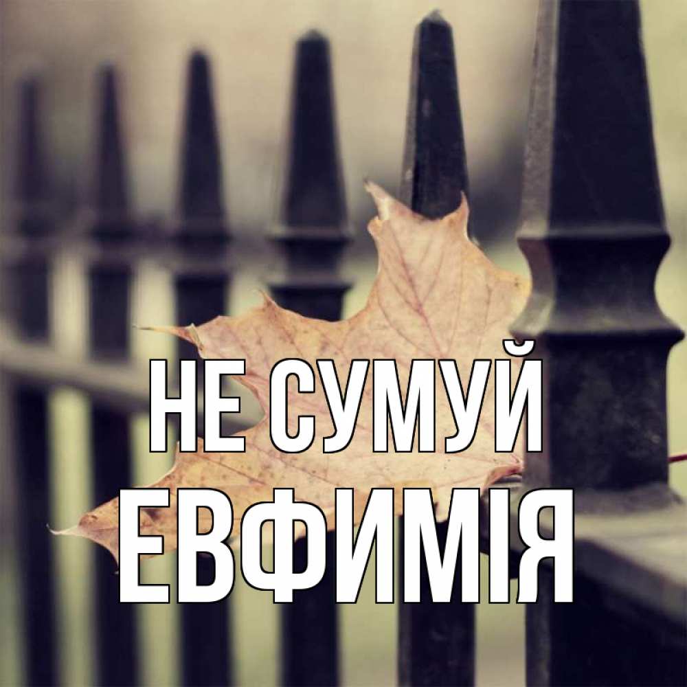 Открытка на каждый день з підписом, Евфимiя Не сумуй лист клена Прикольна листівка з побажанням онлайн скачати безкоштовно 