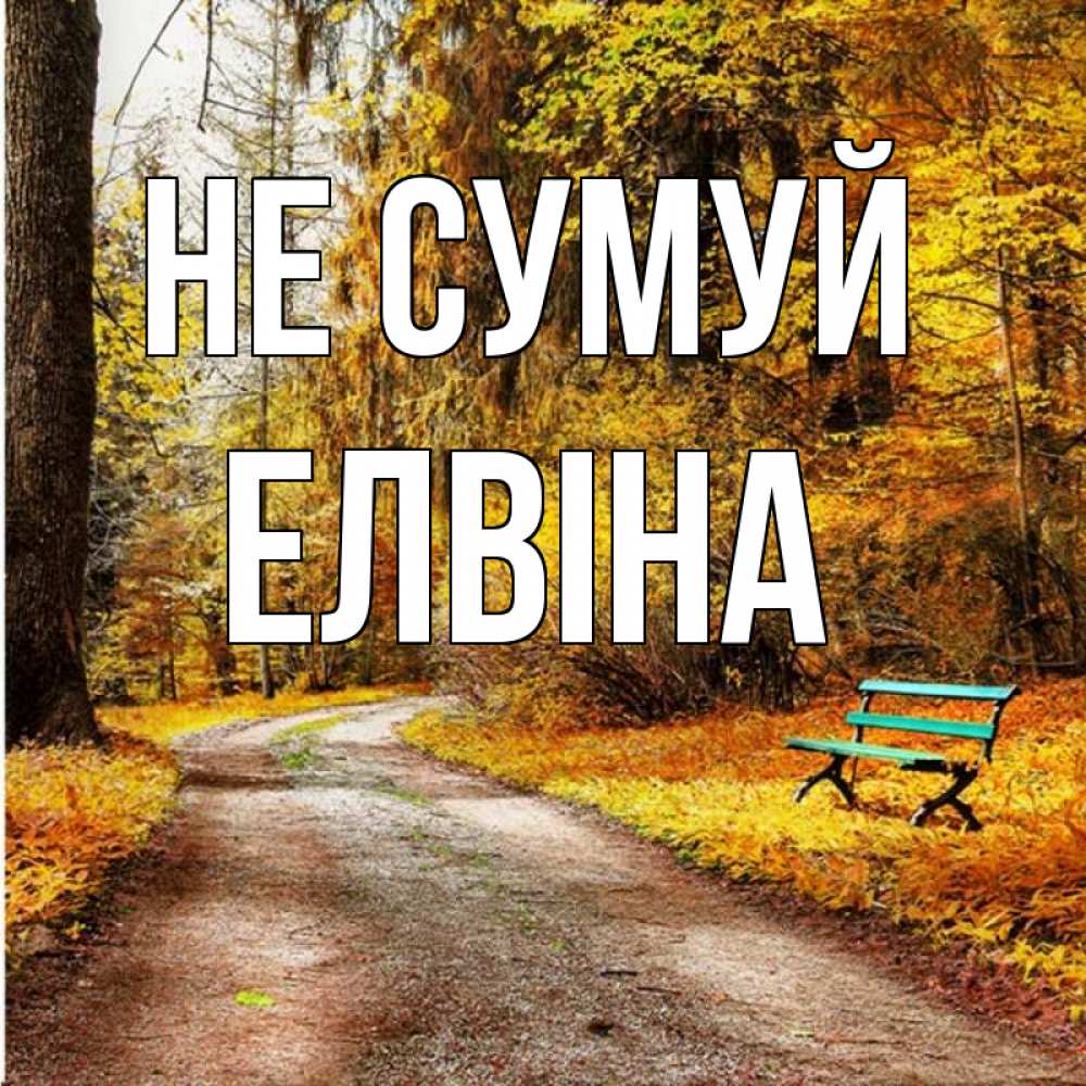 Открытка на каждый день з підписом, Елвіна Не сумуй зеленая лавочка Прикольна листівка з побажанням онлайн скачати безкоштовно 