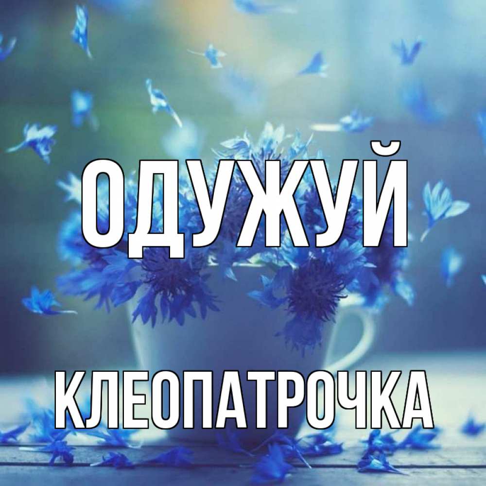 Открытка на каждый день з підписом, Клеопатрочка Одужуй кружка с зельем и цветами Прикольна листівка з побажанням онлайн скачати безкоштовно 