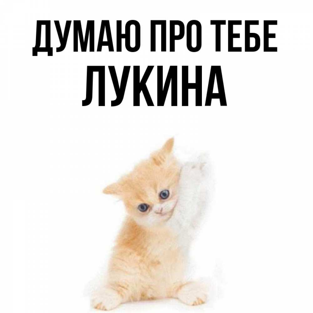 Открытка на каждый день з підписом, Лукина Думаю про тебе зверушки и милота Прикольна листівка з побажанням онлайн скачати безкоштовно 