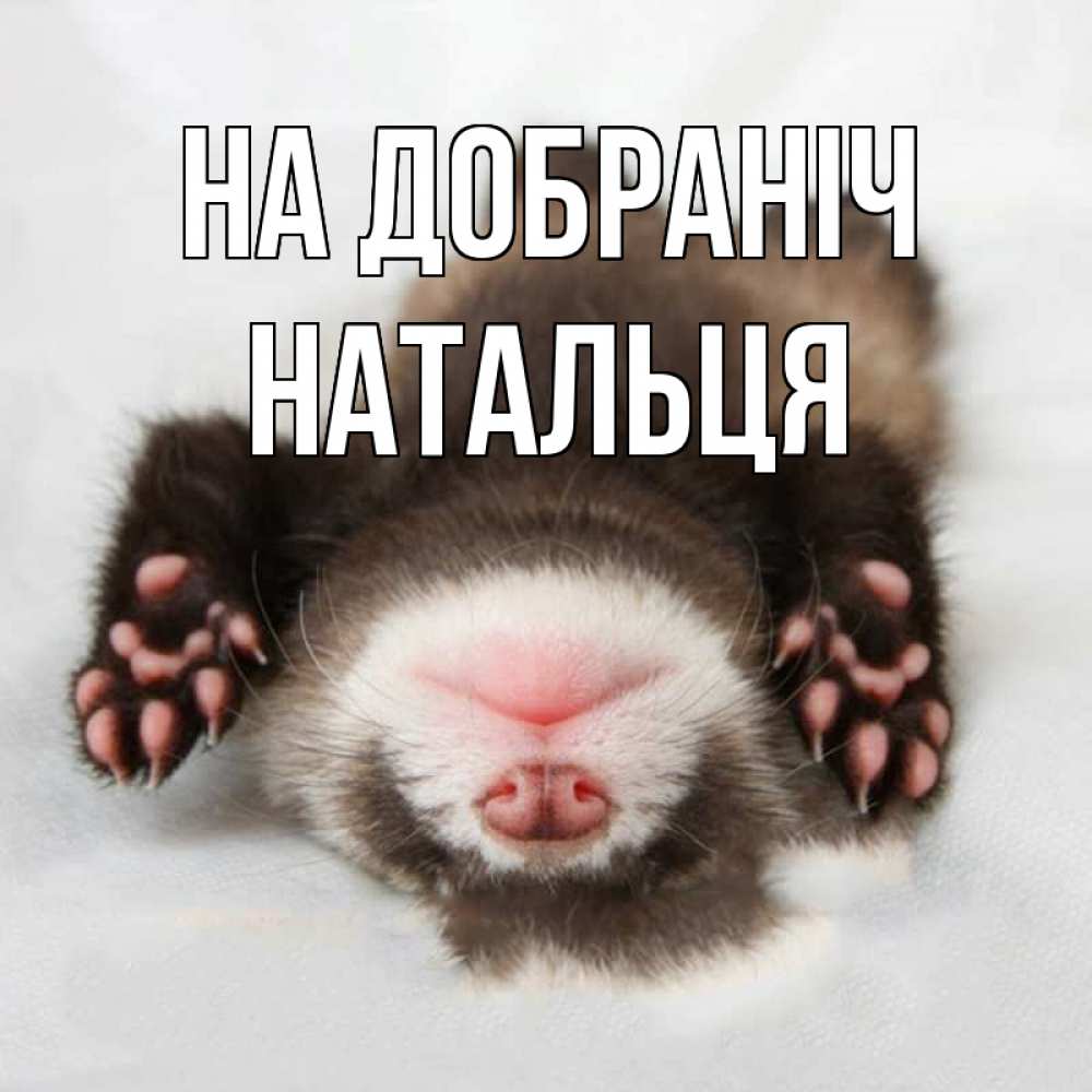 Открытка на каждый день з підписом, Натальця На добраніч зверек Прикольна листівка з побажанням онлайн скачати безкоштовно 