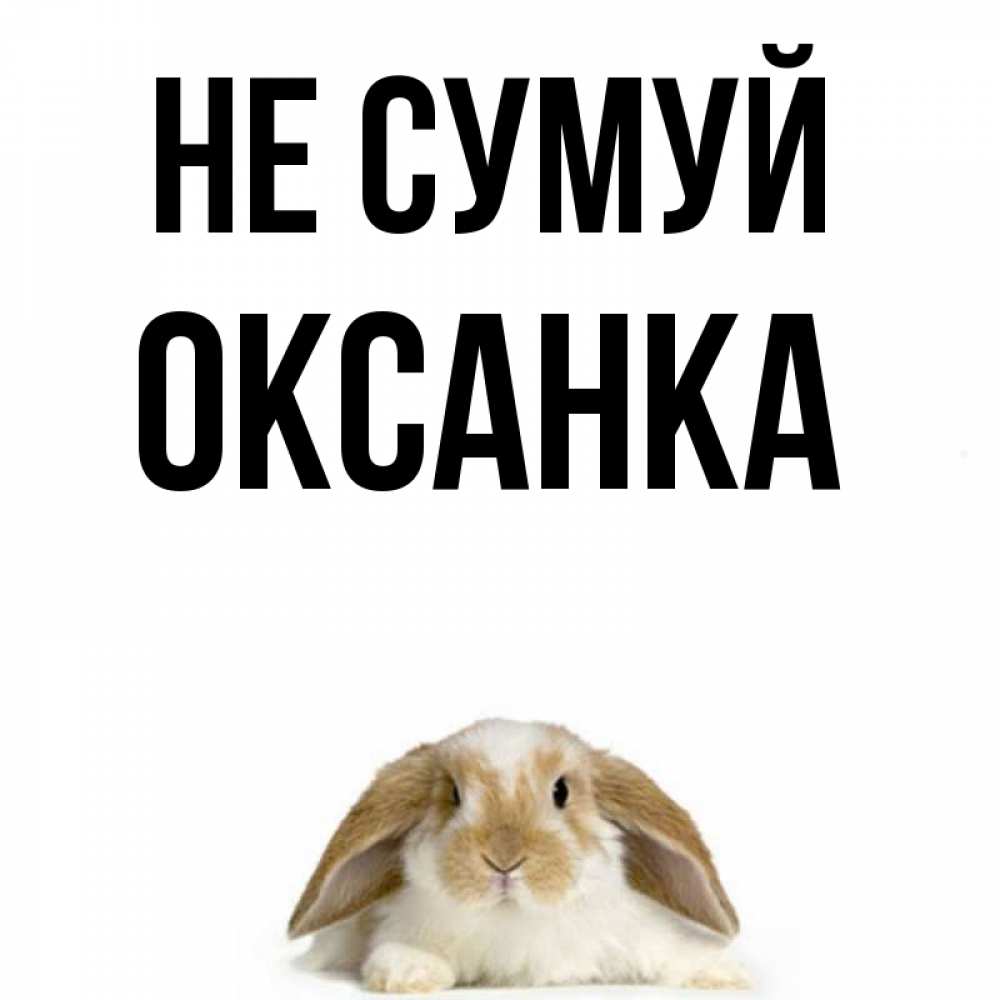 Открытка на каждый день з підписом, Оксанка Не сумуй коричнево белый заяц с большими ушками Прикольна листівка з побажанням онлайн скачати безкоштовно 