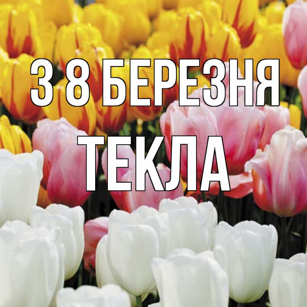 Открытка на каждый день з підписом, Текла З 8 БЕРЕЗНЯ разноцветные цветы Прикольна листівка з побажанням онлайн скачати безкоштовно 