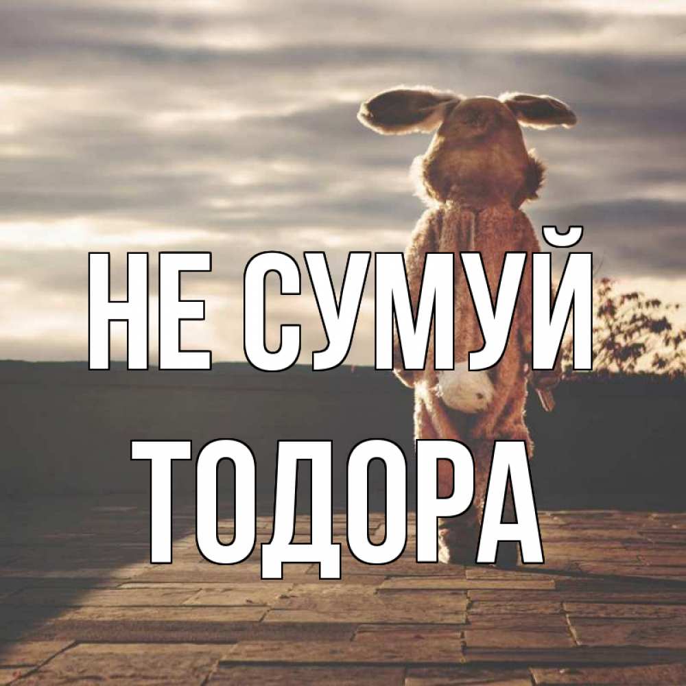 Открытка на каждый день з підписом, Тодора Не сумуй со спины Прикольна листівка з побажанням онлайн скачати безкоштовно 