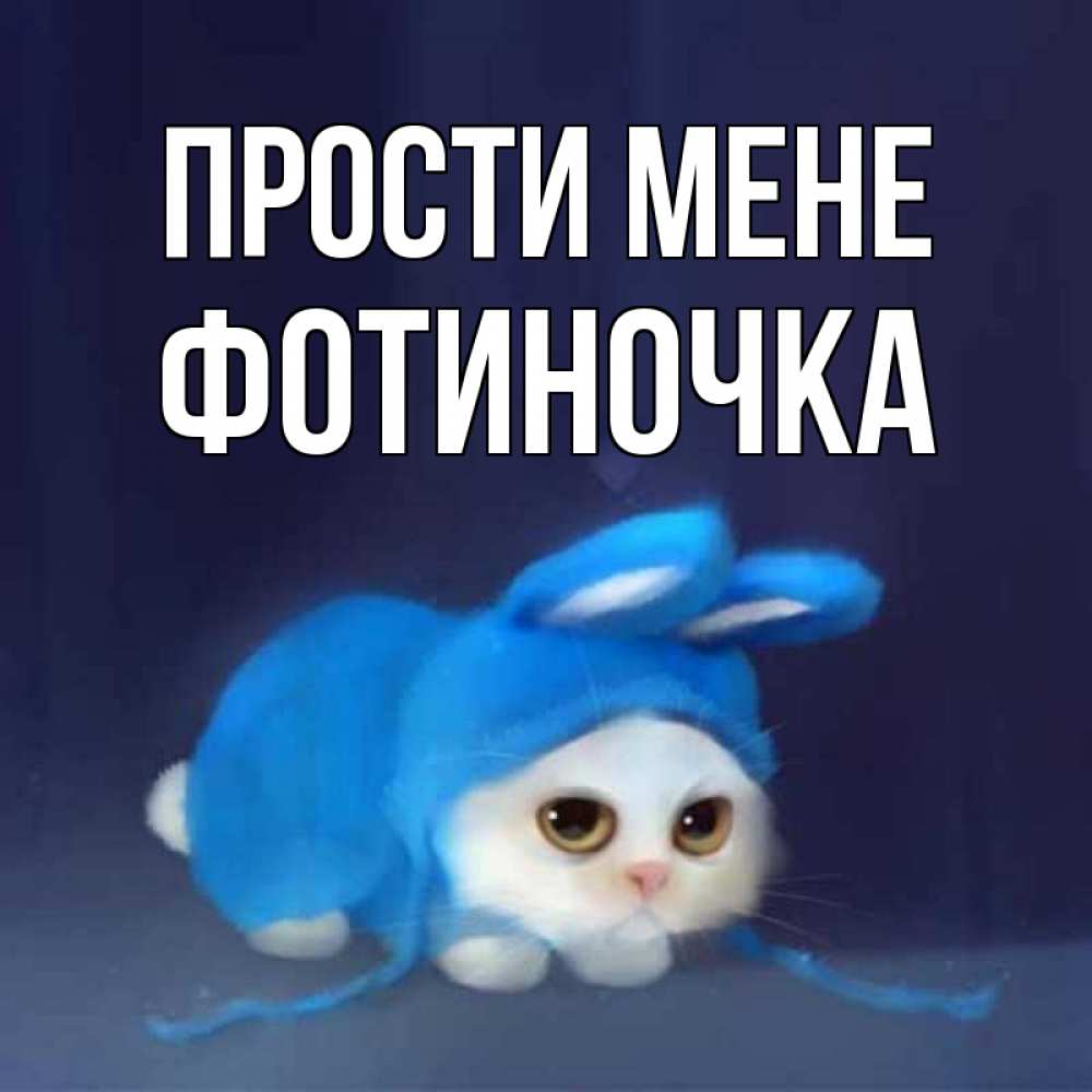 Открытка на каждый день з підписом, Фотиночка Прости мене невинный котозай просит прощения Прикольна листівка з побажанням онлайн скачати безкоштовно 
