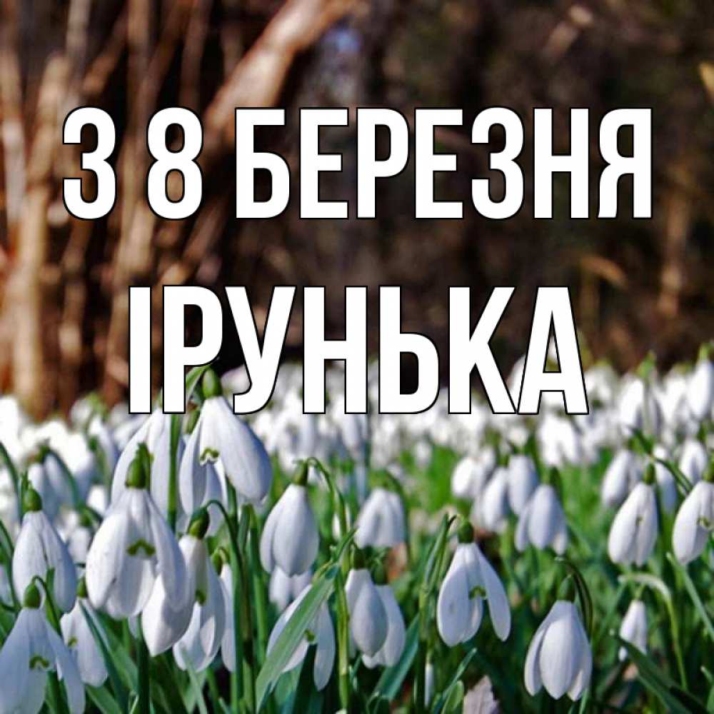 Открытка на каждый день з підписом, Ірунька З 8 БЕРЕЗНЯ с подснежниками 1 Прикольна листівка з побажанням онлайн скачати безкоштовно 