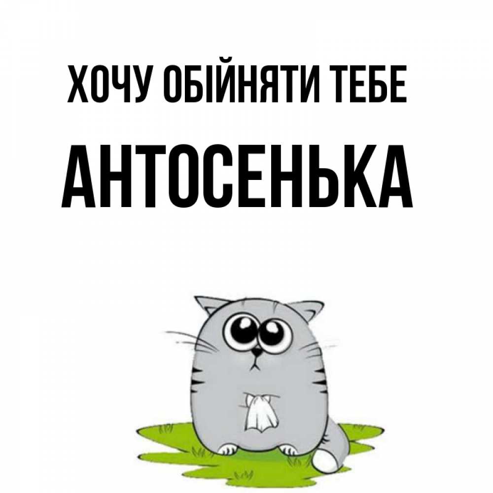 Открытка на каждый день з підписом, Антосенька Хочу обійняти тебе котик теребит платочек сидя на травке Прикольна листівка з побажанням онлайн скачати безкоштовно 