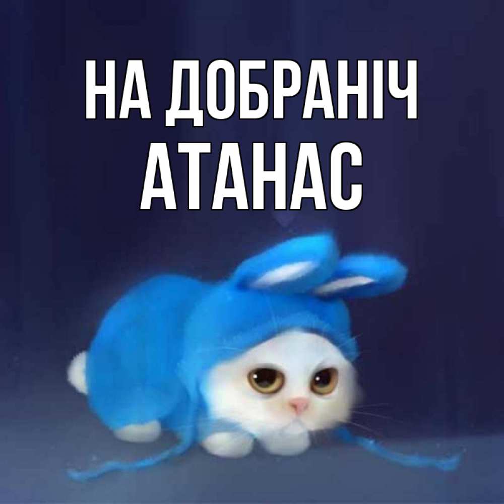 Открытка на каждый день з підписом, Атанас На добраніч кот в голубом костюме кролика с ушками Прикольна листівка з побажанням онлайн скачати безкоштовно 