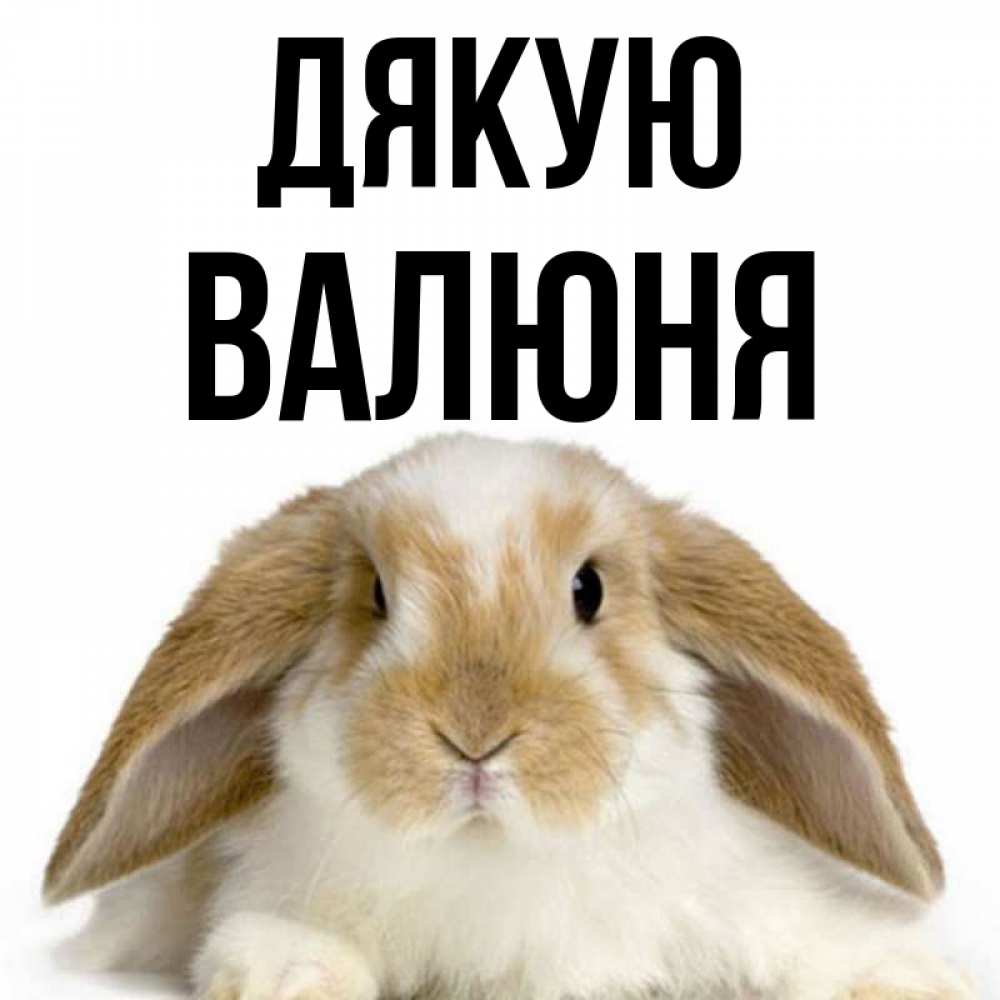 Открытка на каждый день з підписом, Валюня Дякую коричнево белый заяц Прикольна листівка з побажанням онлайн скачати безкоштовно 