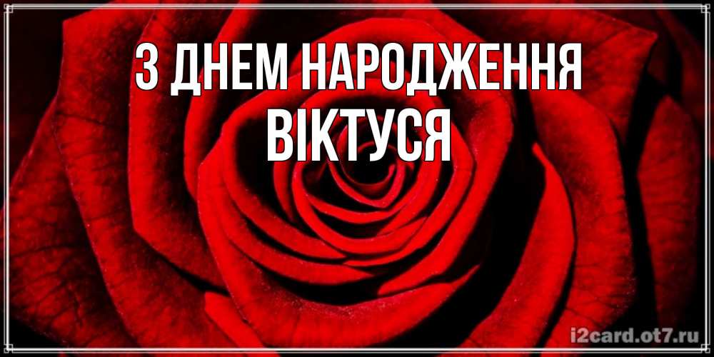 Открытка на каждый день з підписом, Віктуся З Днем народження алая роза Прикольна листівка з побажанням онлайн скачати безкоштовно 