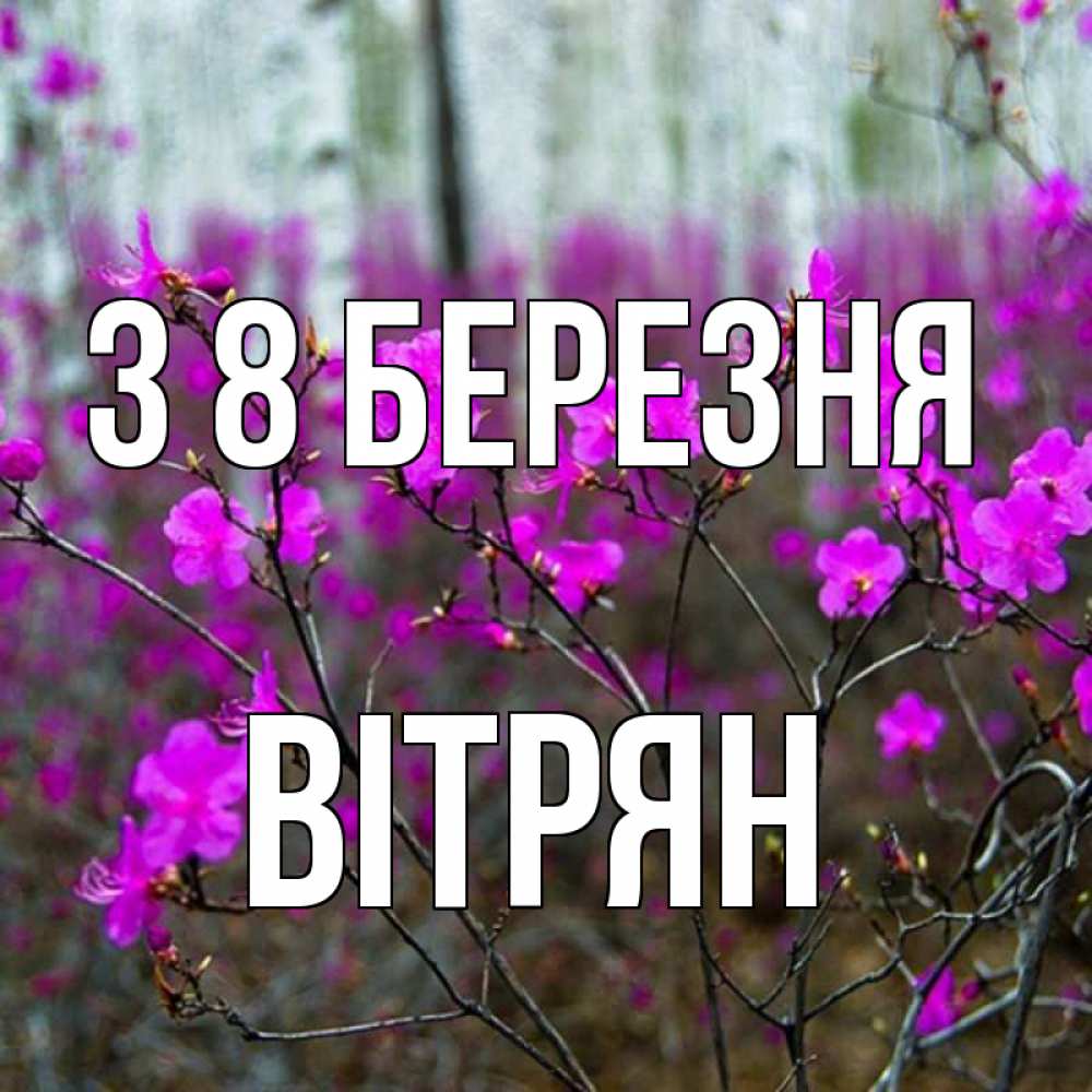 Открытка на каждый день з підписом, Вітрян З 8 БЕРЕЗНЯ дикие цветы Прикольна листівка з побажанням онлайн скачати безкоштовно 