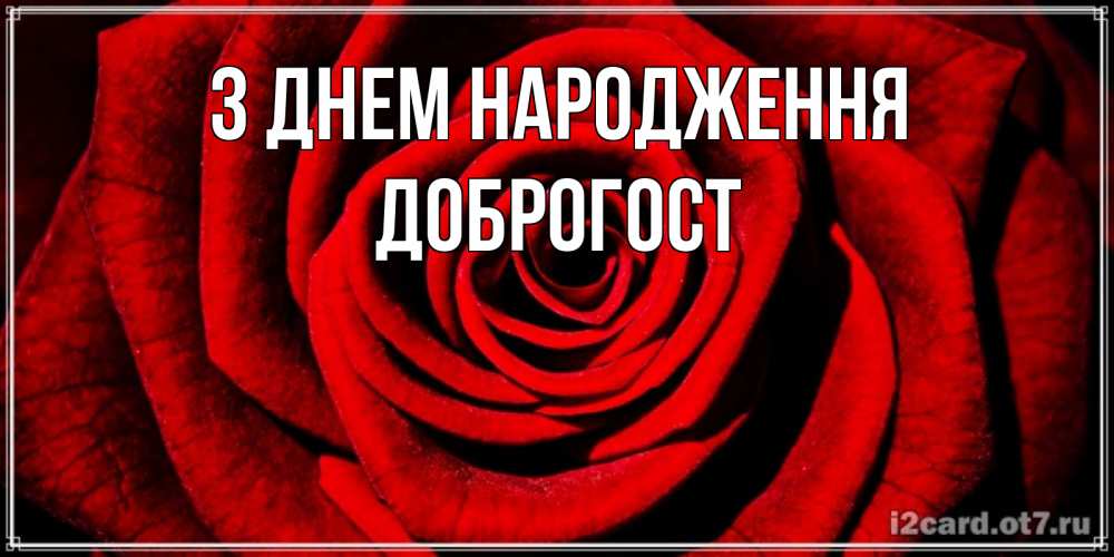 Открытка на каждый день з підписом, Доброгост З Днем народження алая роза Прикольна листівка з побажанням онлайн скачати безкоштовно 