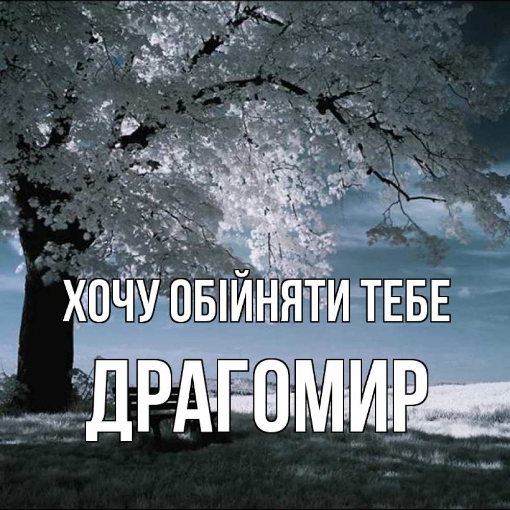 Открытка на каждый день з підписом, Драгомир Хочу обійняти тебе дерево Прикольна листівка з побажанням онлайн скачати безкоштовно 