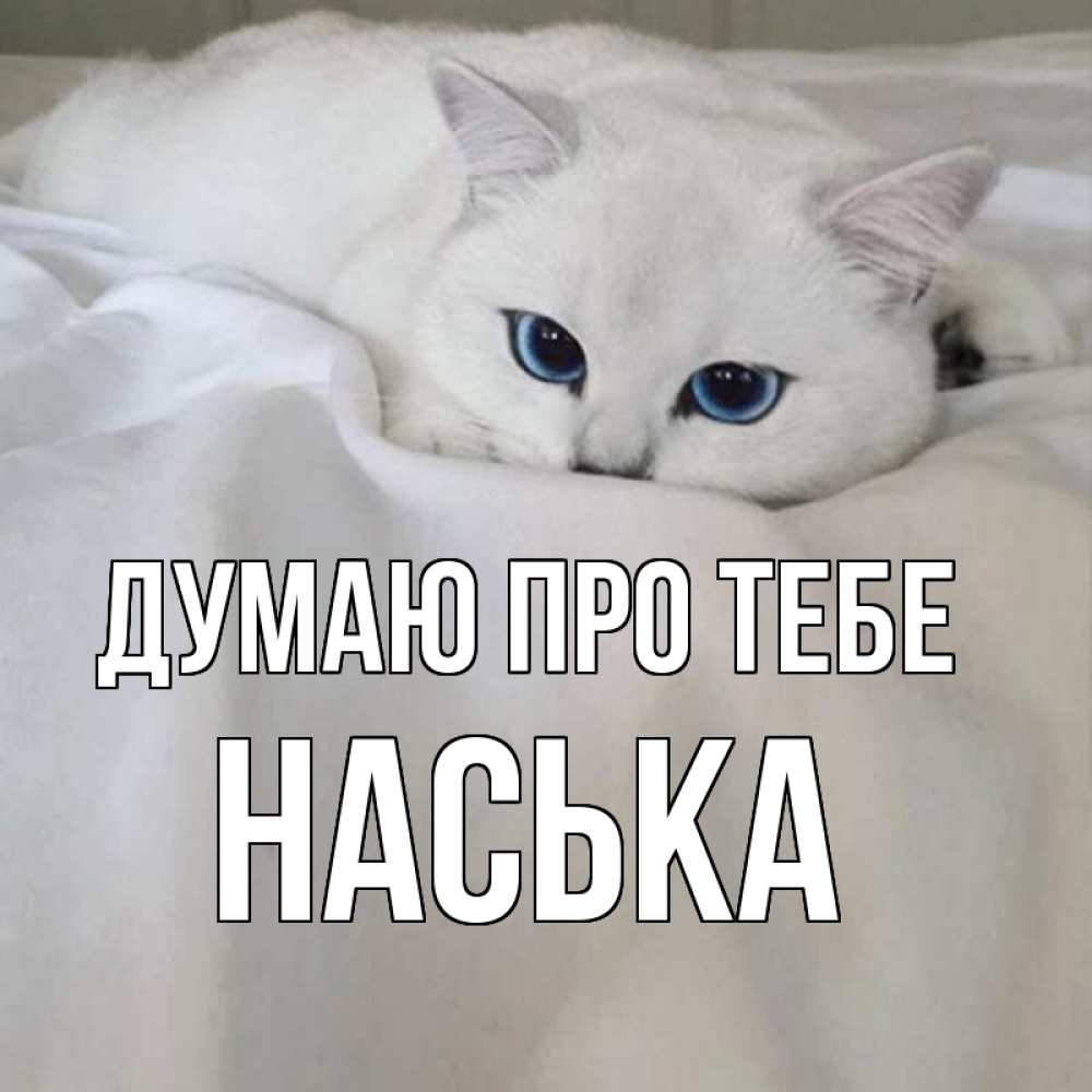 Открытка на каждый день з підписом, Наська Думаю про тебе я очень по тебе скучаю и тоскую Прикольна листівка з побажанням онлайн скачати безкоштовно 