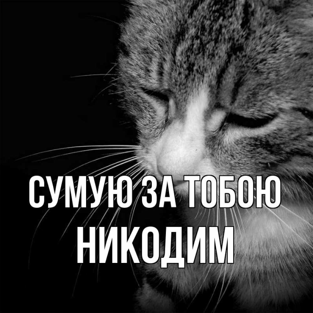 Открытка на каждый день з підписом, Никодим Сумую за тобою мне скучно Прикольна листівка з побажанням онлайн скачати безкоштовно 