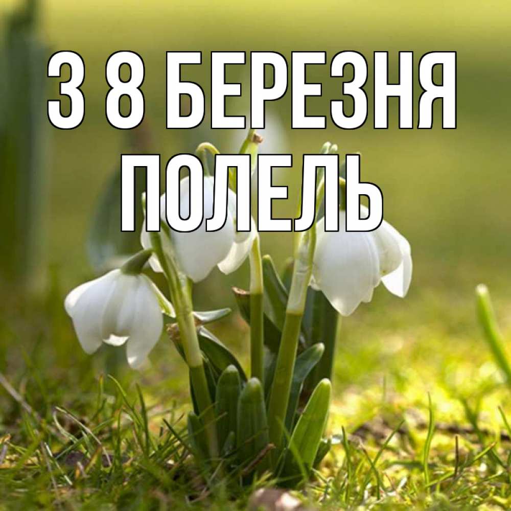 Открытка на каждый день з підписом, Полель З 8 БЕРЕЗНЯ ранние цветы 2 Прикольна листівка з побажанням онлайн скачати безкоштовно 