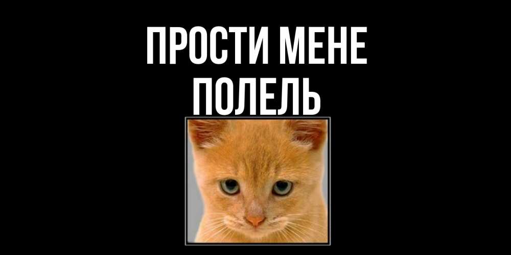 Открытка на каждый день з підписом, Полель Прости мене рыжий грустный кот просит прощения Прикольна листівка з побажанням онлайн скачати безкоштовно 