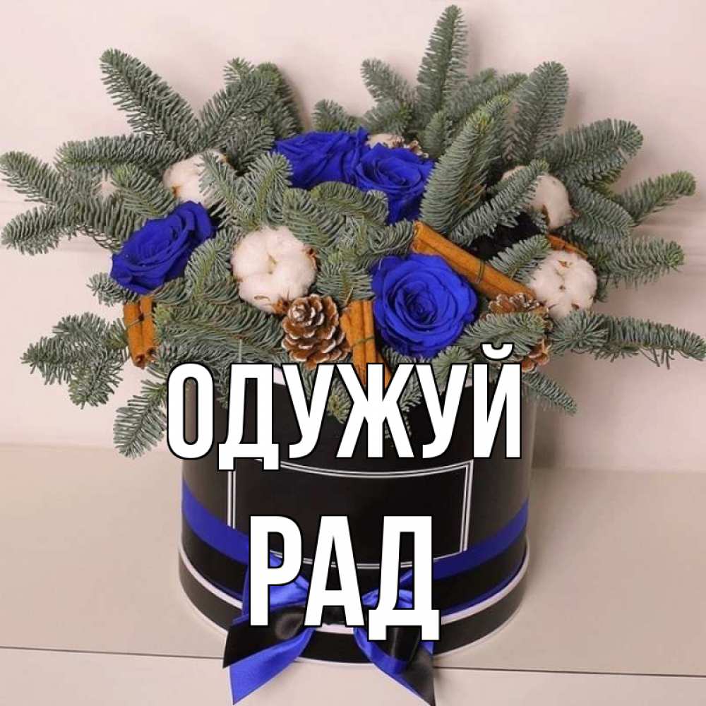 Открытка на каждый день з підписом, Рад Одужуй короче кто то загрузил эти шишки Прикольна листівка з побажанням онлайн скачати безкоштовно 