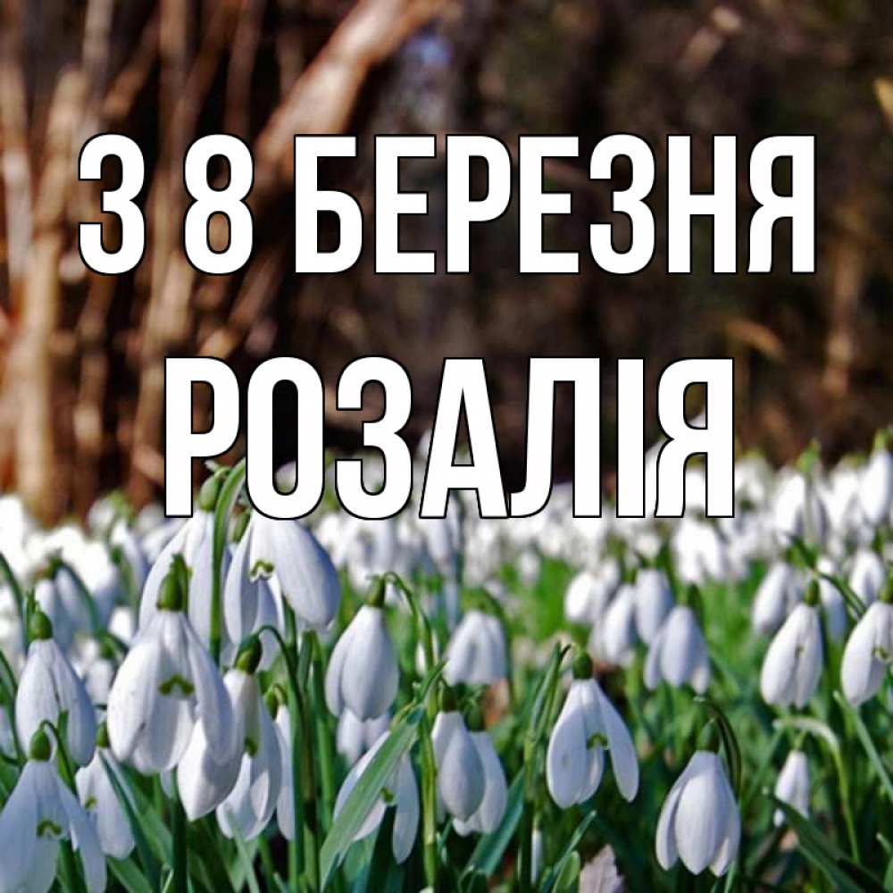 Открытка на каждый день з підписом, Розалія З 8 БЕРЕЗНЯ с подснежниками 1 Прикольна листівка з побажанням онлайн скачати безкоштовно 