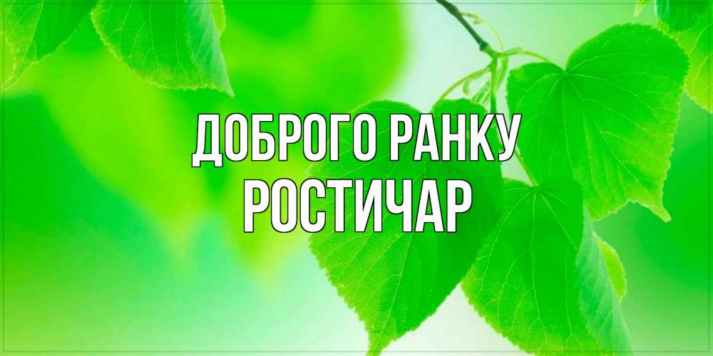 Открытка на каждый день з підписом, Ростичар Доброго ранку доброе утро с березовыми листьями Прикольна листівка з побажанням онлайн скачати безкоштовно 