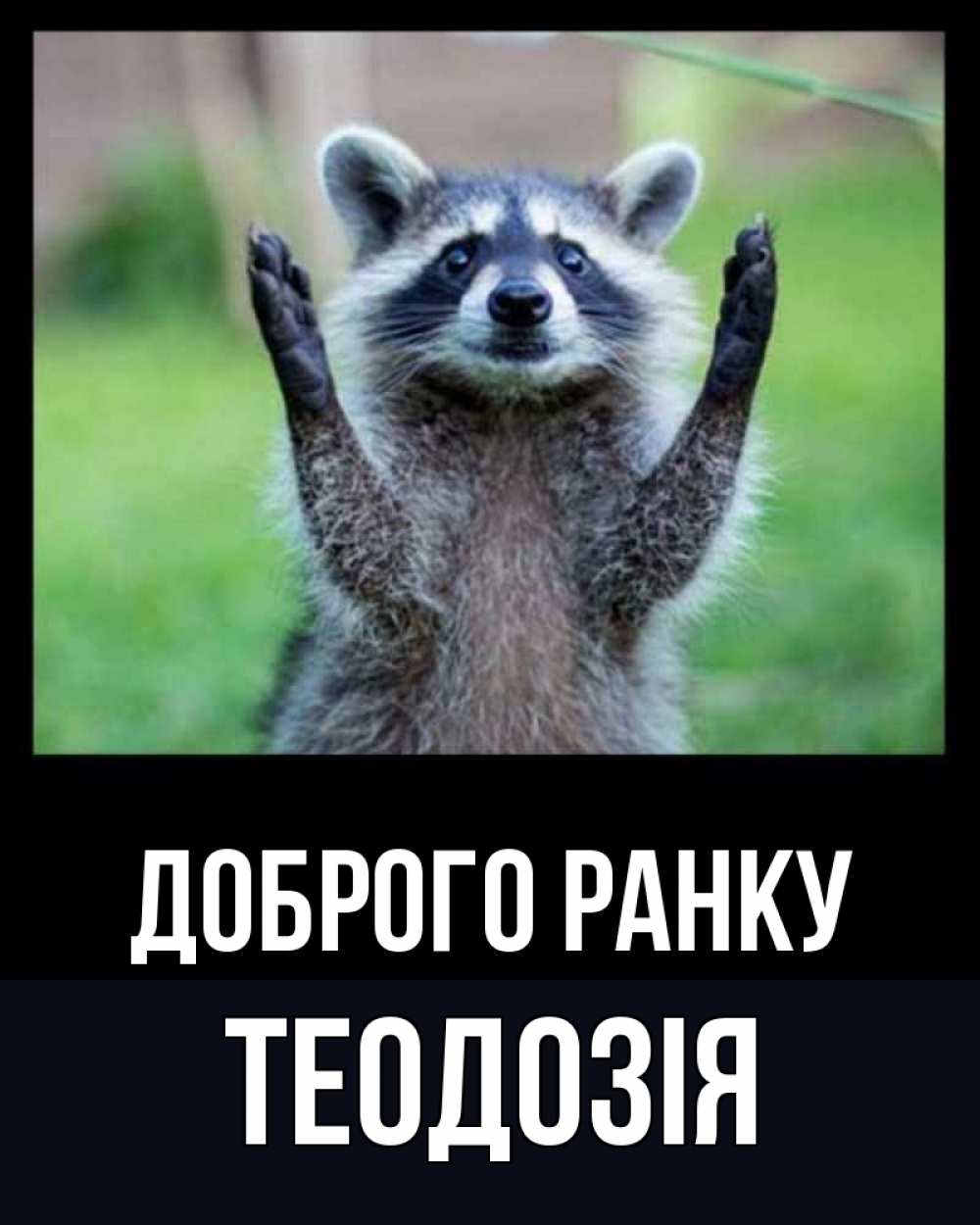 Открытка на каждый день з підписом, Теодозія Доброго ранку хорошее настроение утречком Прикольна листівка з побажанням онлайн скачати безкоштовно 