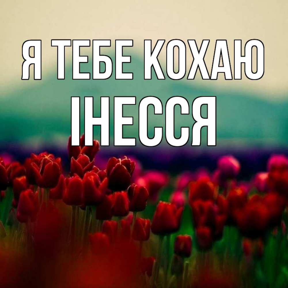 Открытка на каждый день з підписом, Інесся Я тебе кохаю тюльпаны 4 Прикольна листівка з побажанням онлайн скачати безкоштовно 