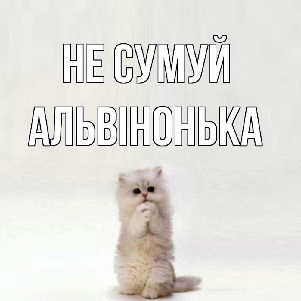 Открытка на каждый день з підписом, Альвінонька Не сумуй грустный кот Прикольна листівка з побажанням онлайн скачати безкоштовно 