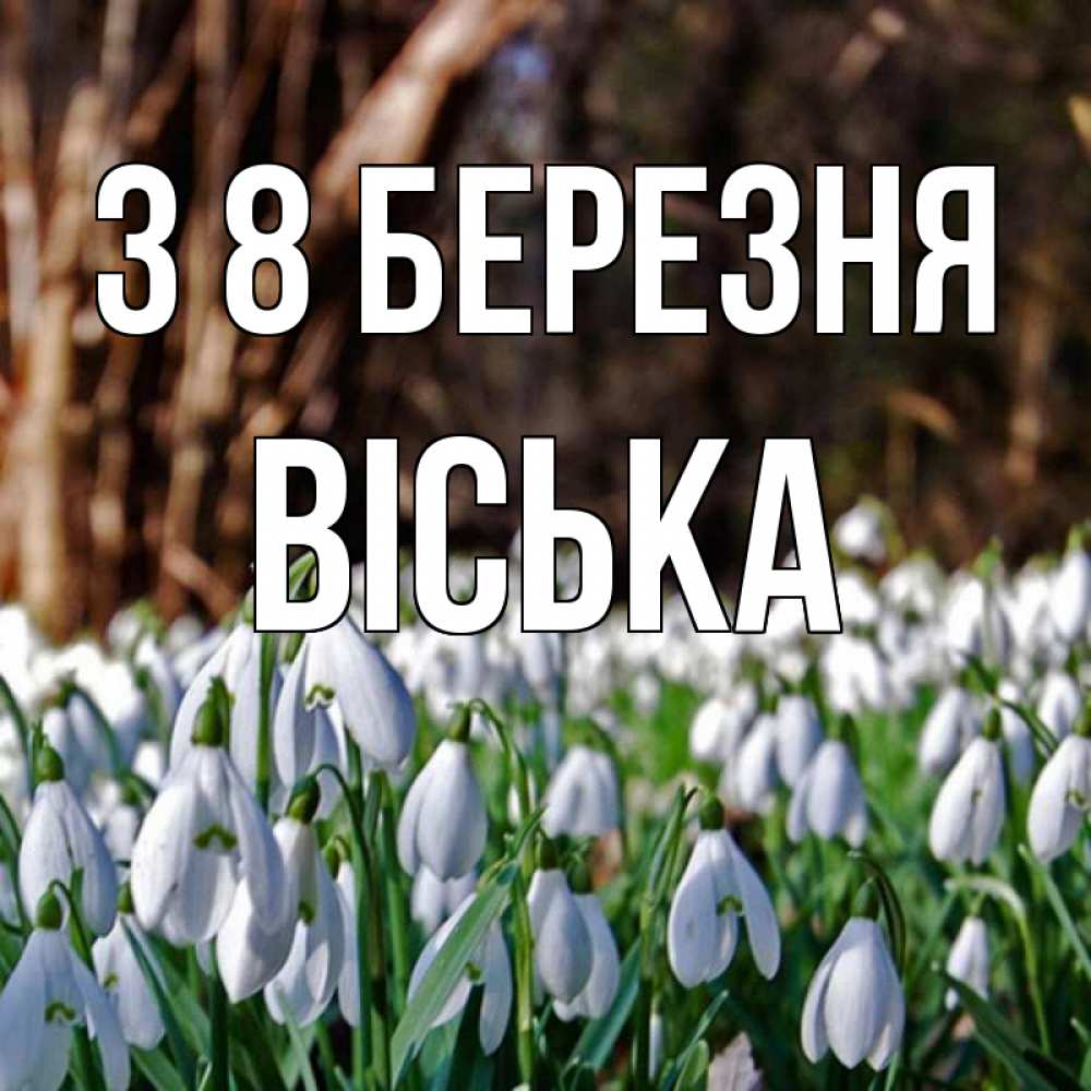 Открытка на каждый день з підписом, Віська З 8 БЕРЕЗНЯ с подснежниками 1 Прикольна листівка з побажанням онлайн скачати безкоштовно 