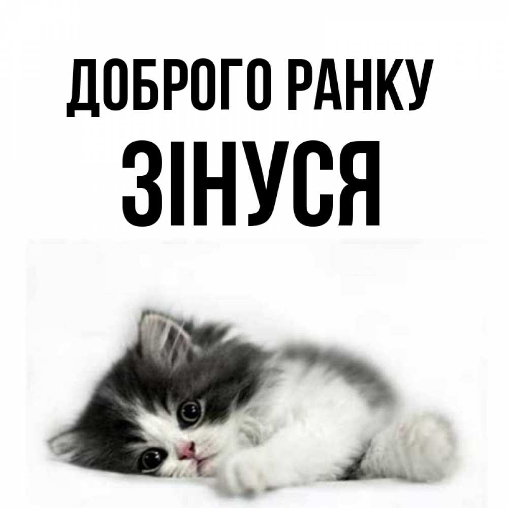 Открытка на каждый день з підписом, Зінуся Доброго ранку кот лапки Прикольна листівка з побажанням онлайн скачати безкоштовно 