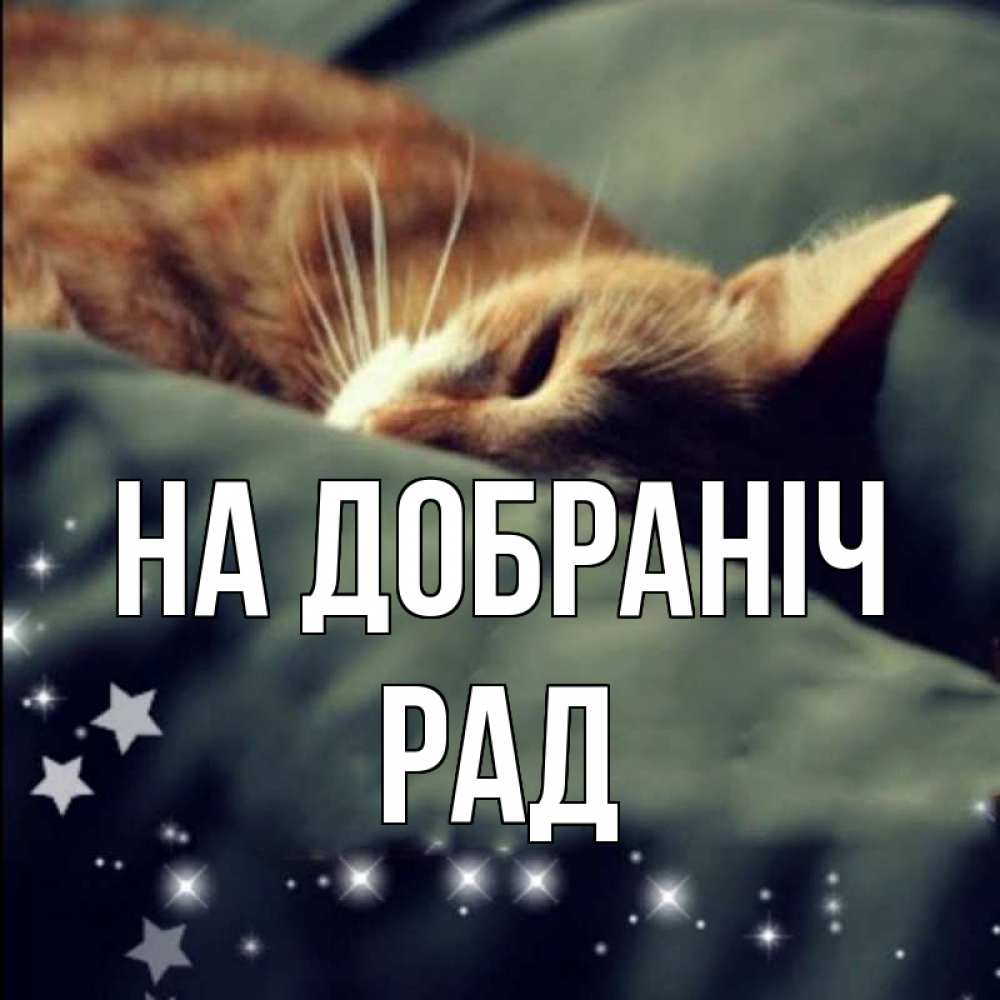 Открытка на каждый день з підписом, Рад На добраніч кроватка Прикольна листівка з побажанням онлайн скачати безкоштовно 