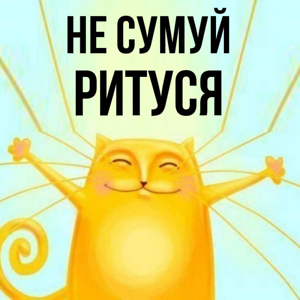 Открытка на каждый день з підписом, Ритуся Не сумуй обнимашки усатые Прикольна листівка з побажанням онлайн скачати безкоштовно 