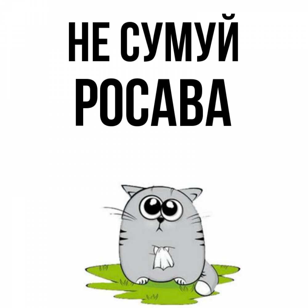 Открытка на каждый день з підписом, Росава Не сумуй грустный котяра Прикольна листівка з побажанням онлайн скачати безкоштовно 