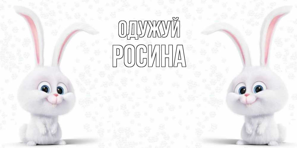 Открытка на каждый день з підписом, Росина Одужуй не болей с зайцем Прикольна листівка з побажанням онлайн скачати безкоштовно 