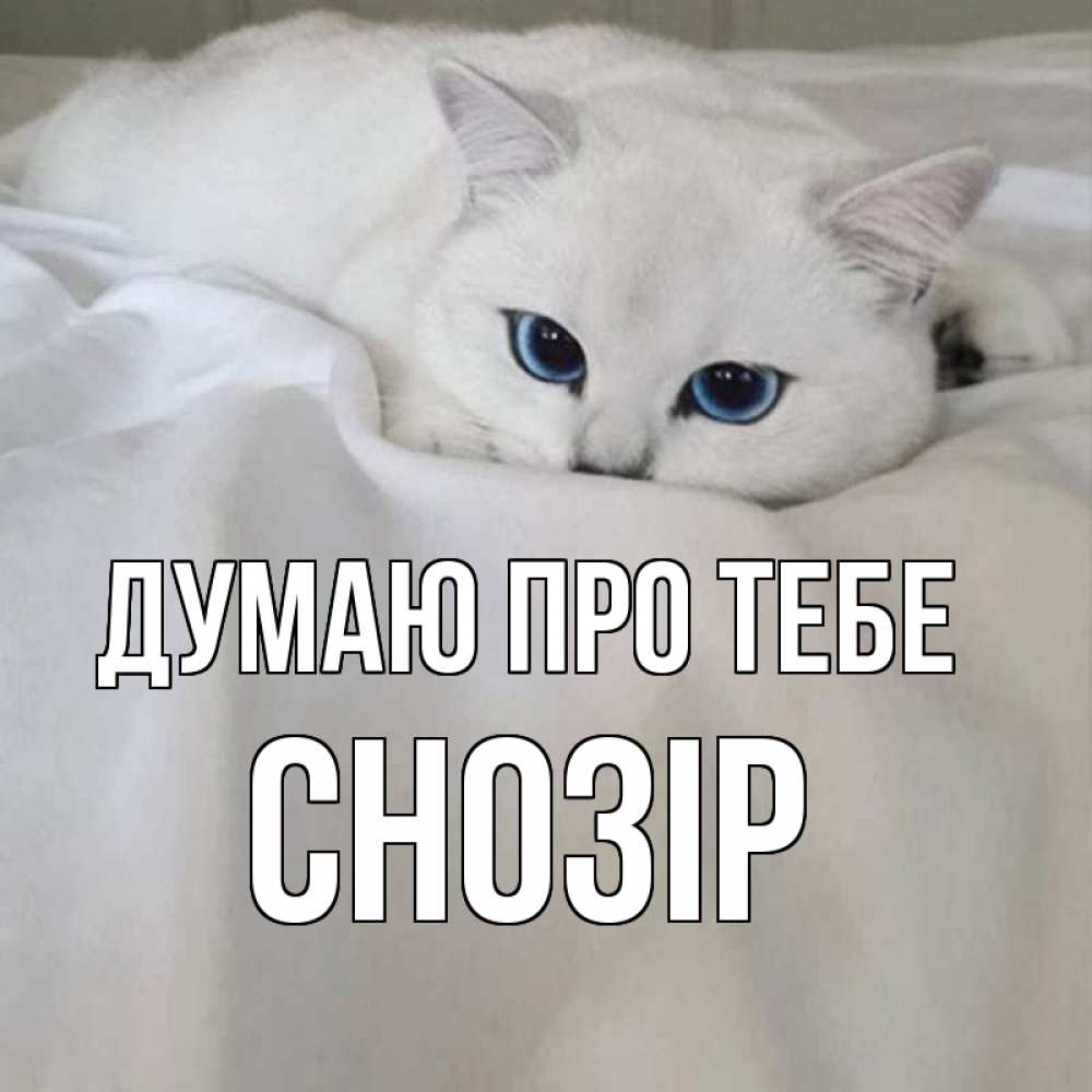 Открытка на каждый день з підписом, Снозір Думаю про тебе я очень по тебе скучаю и тоскую Прикольна листівка з побажанням онлайн скачати безкоштовно 