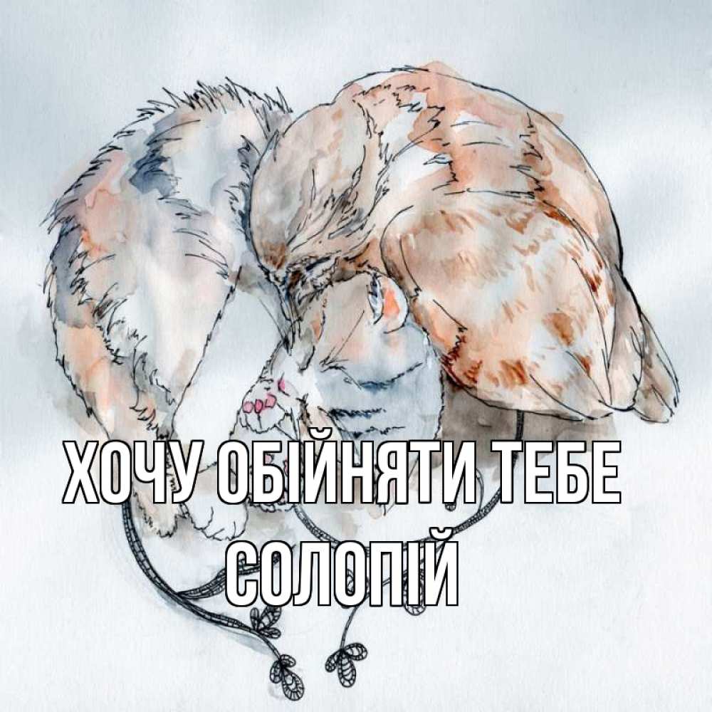 Открытка на каждый день з підписом, Солопій Хочу обійняти тебе можно быть вместе даже когда очень разные Прикольна листівка з побажанням онлайн скачати безкоштовно 