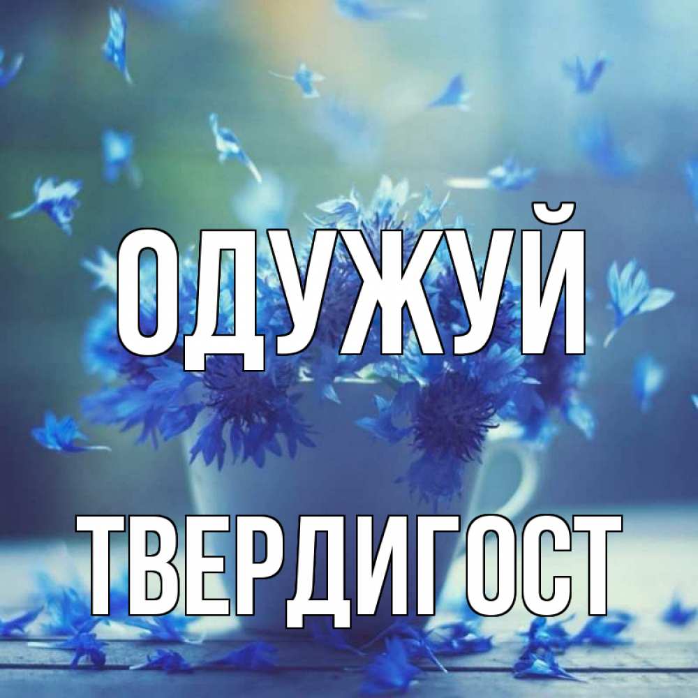 Открытка на каждый день з підписом, Твердигост Одужуй кружка с зельем и цветами Прикольна листівка з побажанням онлайн скачати безкоштовно 