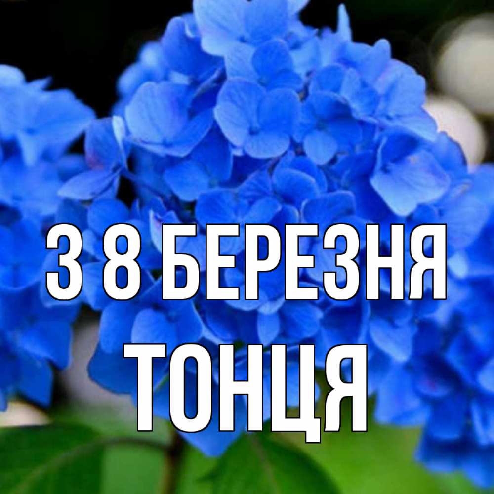Открытка на каждый день з підписом, Тонця З 8 БЕРЕЗНЯ синие цветы Прикольна листівка з побажанням онлайн скачати безкоштовно 