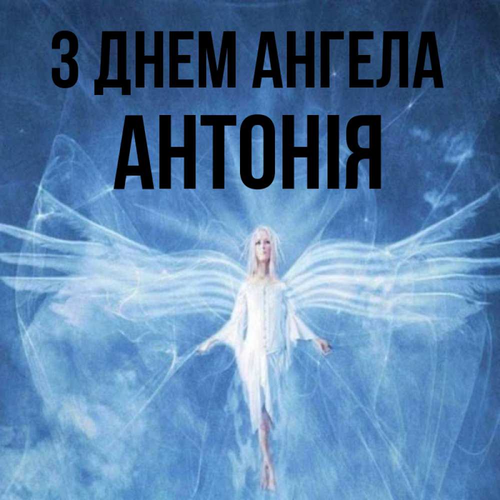 Открытка на каждый день з підписом, Антонія З Днем ангела голубой фон и крылья как у стрекозы Прикольна листівка з побажанням онлайн скачати безкоштовно 