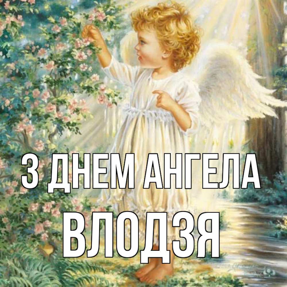Открытка на каждый день з підписом, Влодзя З Днем ангела собирает цветы Прикольна листівка з побажанням онлайн скачати безкоштовно 