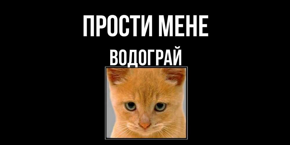 Открытка на каждый день з підписом, Водограй Прости мене рыжий грустный кот просит прощения Прикольна листівка з побажанням онлайн скачати безкоштовно 