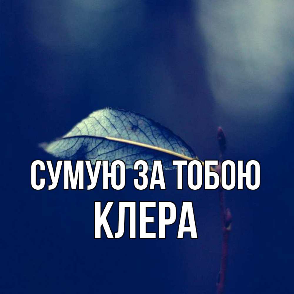 Открытка на каждый день з підписом, Клера Сумую за тобою одна ветка 1 Прикольна листівка з побажанням онлайн скачати безкоштовно 