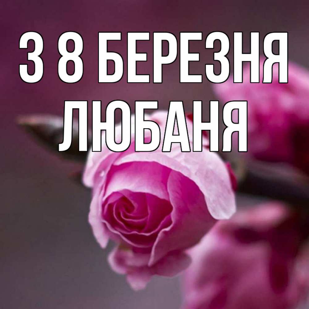 Открытка на каждый день з підписом, Любаня З 8 БЕРЕЗНЯ весна Прикольна листівка з побажанням онлайн скачати безкоштовно 
